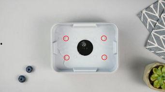 一次性饭盒爆料视频,视频爆料背后的环保与卫生真相 第3张 一次性饭盒爆料视频,视频爆料背后的环保与卫生真相 第3张