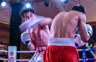 吃瓜娱乐拳击视频